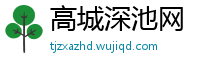 高城深池网